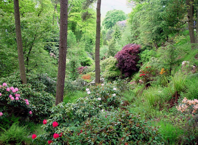 Dunge Valley Gardens, United Kingdom